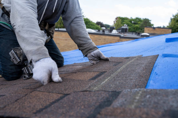 Best Metal Roofing Contractor  in Gladstone, MI